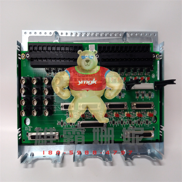 IS200TDBSH2AAA MRP025038	模块	GE Fanuc