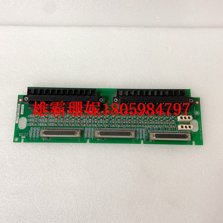 IS200TBCIH1BBC     接触端子板         主要功能