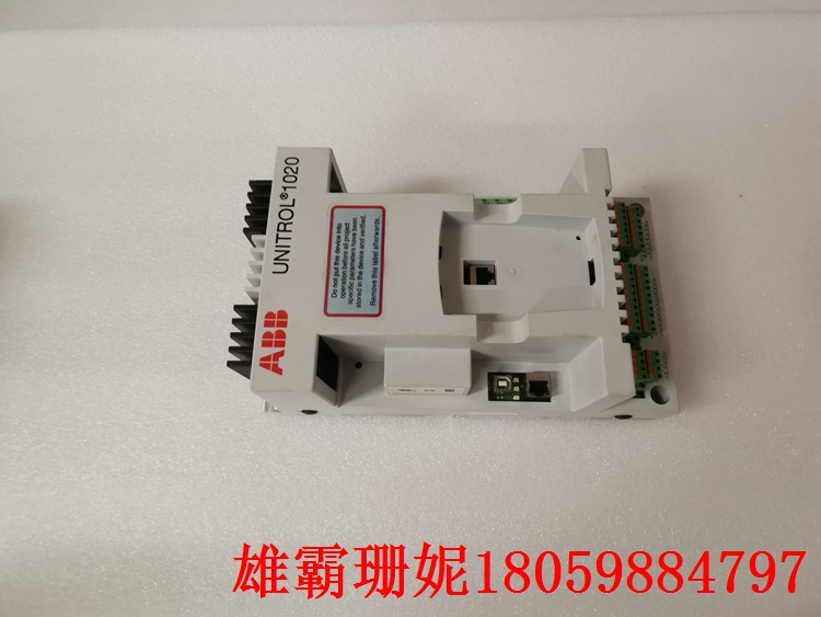 3BHE030579R0003  间接励磁系统  国际上的发展