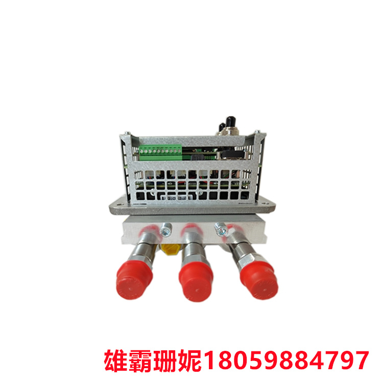 3HNA024871-001   机器人喷漆   大规模生产线的流程控制