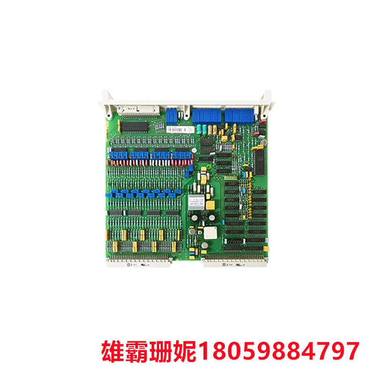 DSAI130D     模拟输入板     专用材质的承印物