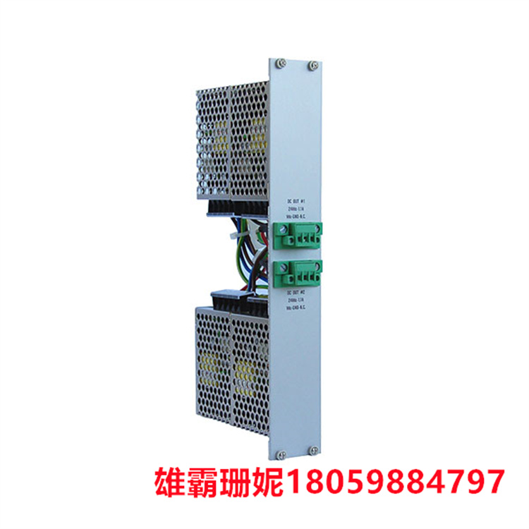 VM600 ASPS  辅助传感器电源振动计   输出由两个并联的AC-DC转换器组成