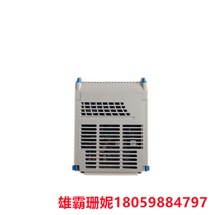 VE4050S2K1C0  带载体屏蔽条的I/O接口载体    使用DetaV水平安装/O托架