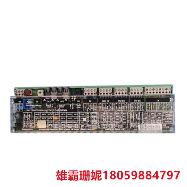 NAMU-01C    辅助测量单元    服务驱动服务备件