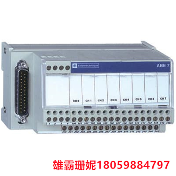 SCHNEIDER    ABE7CPA02  接线端子板接口模块  它附带了用于电气连接的螺钉端子