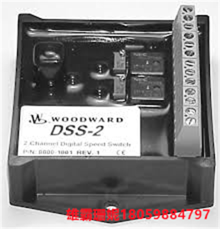 WOODWORD   8800-1001  DSS-2 双通道数字速度开关