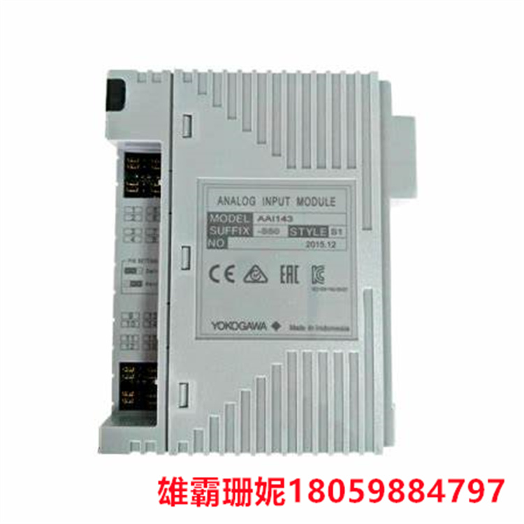 YOKOGAWA    AAI143-S50  模拟输入模块  从端子查看的模块输入电阻取决于电流强度