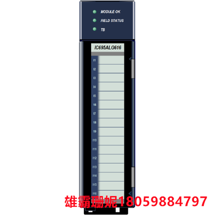 GE   IC695ALG616 模拟输入模块    该模块是一种特定类型的模块