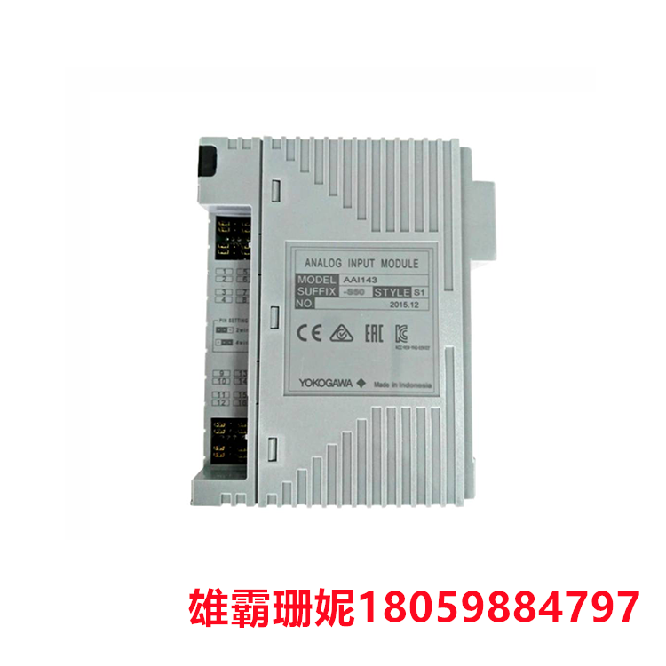 YOKOGAWA  AAI543-H53/K4A00 模拟输出模块  带 KS 电缆接口适配器