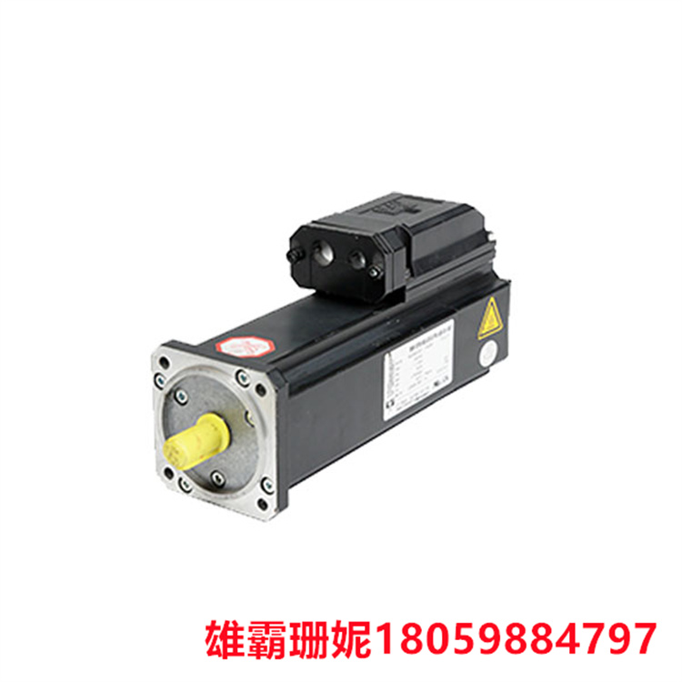SCHNEIDER   SM-100-30-080-P0-45-S1B1  伺服电机    可以控制速度