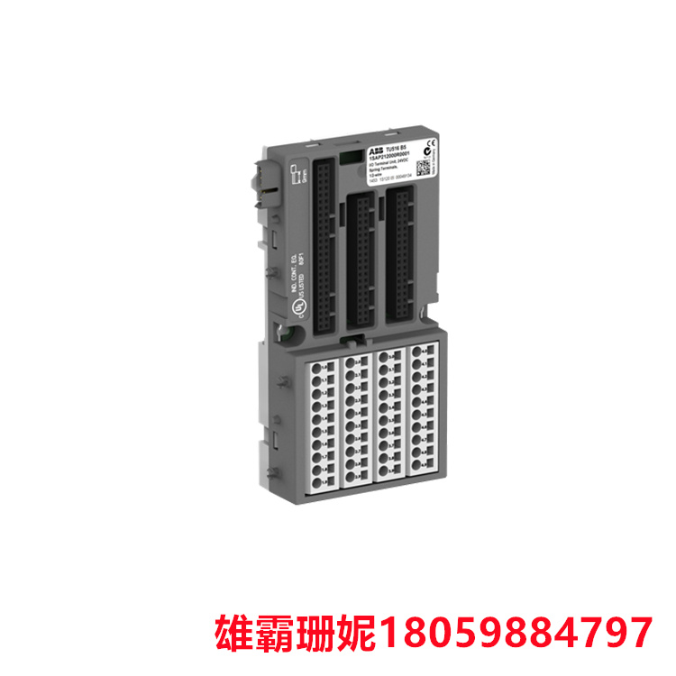 ABB   TU516  1SAP212000R0001  I/O 终端单元    用于直流 I/O 模块的支架