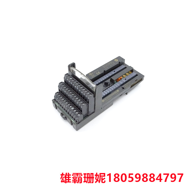 GE	IC200CHS022L   I/O载波模块   该载波可容纳高达 0-264 VAC 的电压范围