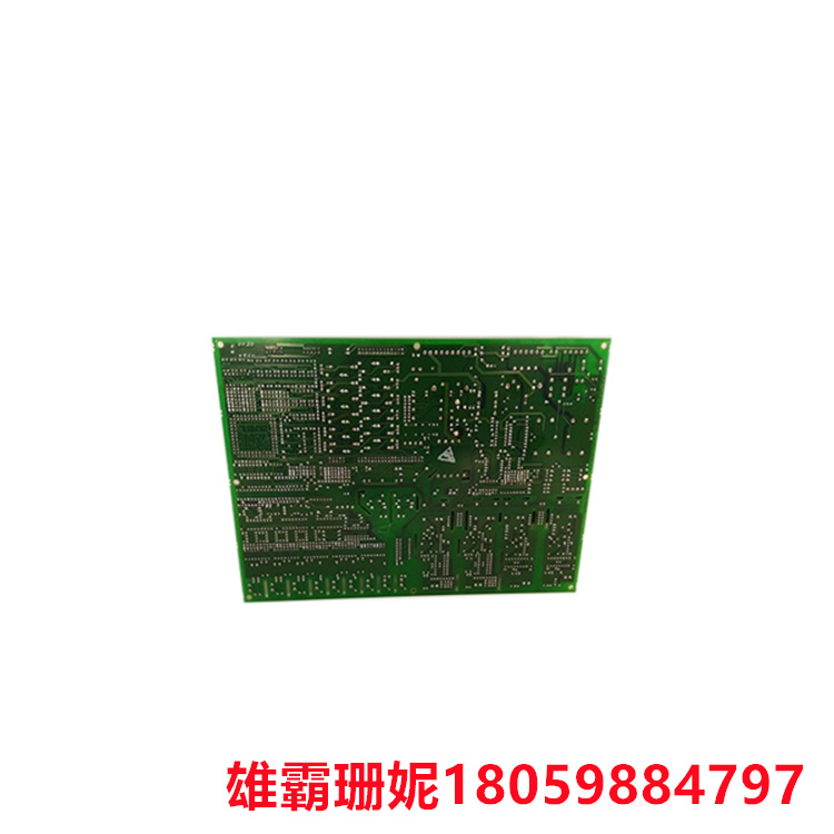 GE	DS200DCFBG1BLC  PLC控制电源模块   具有 12 个可配置跳线