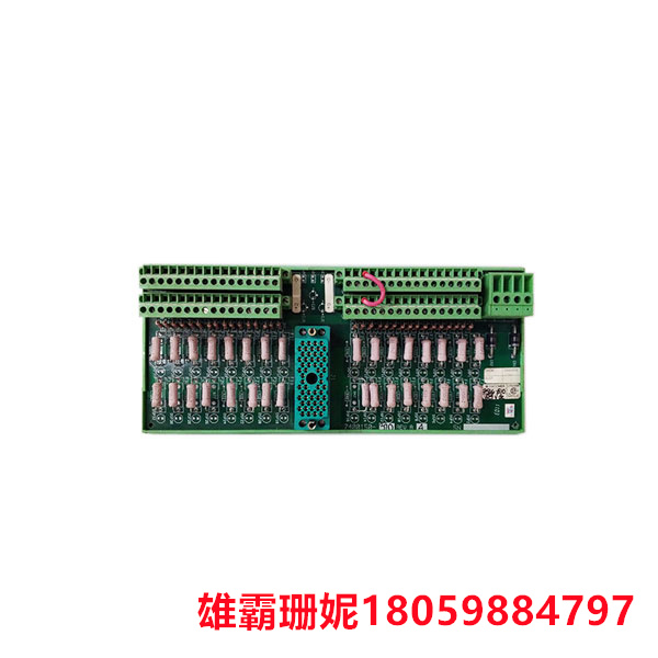 TRICONEX 9566-810	Triconex DCS	双数字输出模块