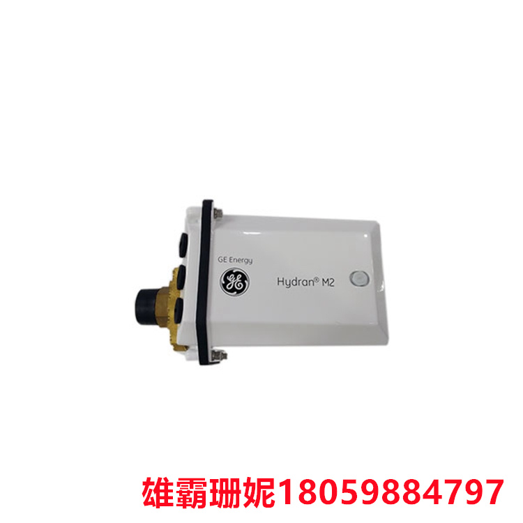 HYDRAN M2     变压器监控装置    欢迎大家来电咨询