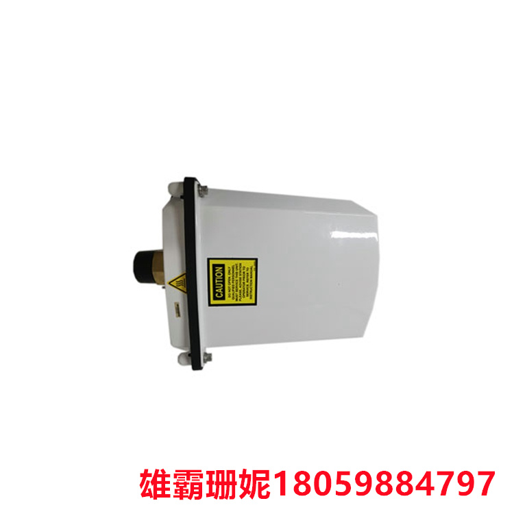 HYDRAN M2    检测器   用于安装在指定为 I 类 2 分区的危险场所的变压器上
