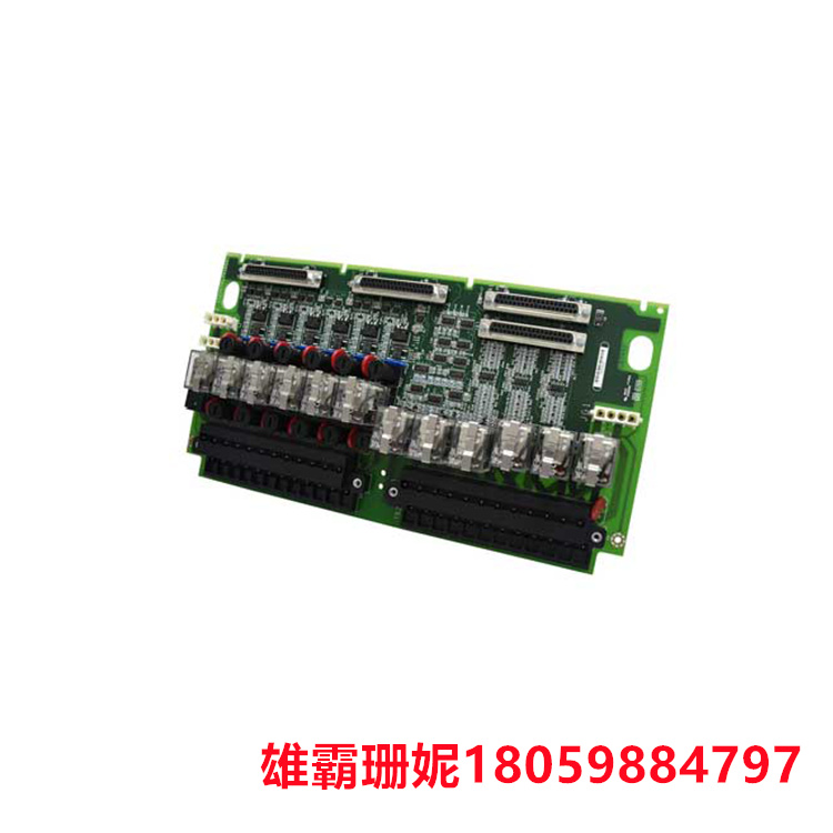 GE  IS200TBCIH2CAA  数字量输入模块   用作基于微处理器的控制器