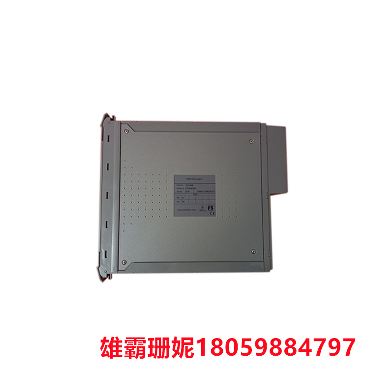 ICS 三重    T8110B   TMR 处理器    三重冗余模块间总线