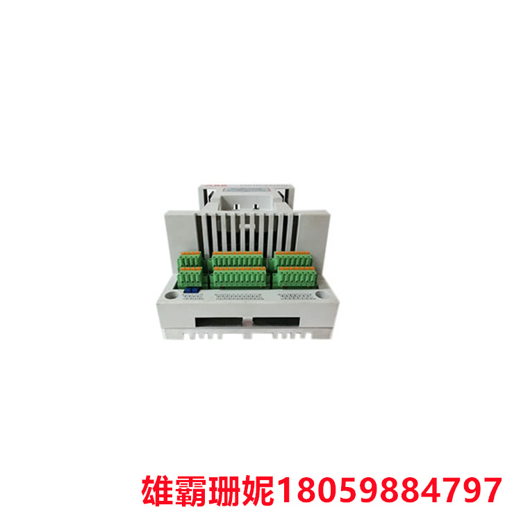UNITROL 1020 3BHE030579R0003  UNS0119A-Z,V1  电压调节器  国际上的发展