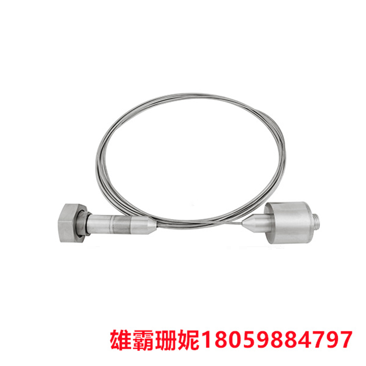 GE   RS-FS-9001 362A1052P404   火焰跟踪器火焰探测器   满足客户规格规定的严格性能和验证要求