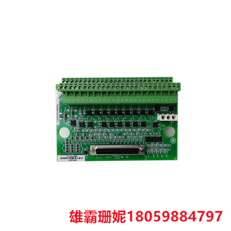 GE  IS200STCIH6A   DIN导轨接触端子板     具有许多不同的组件