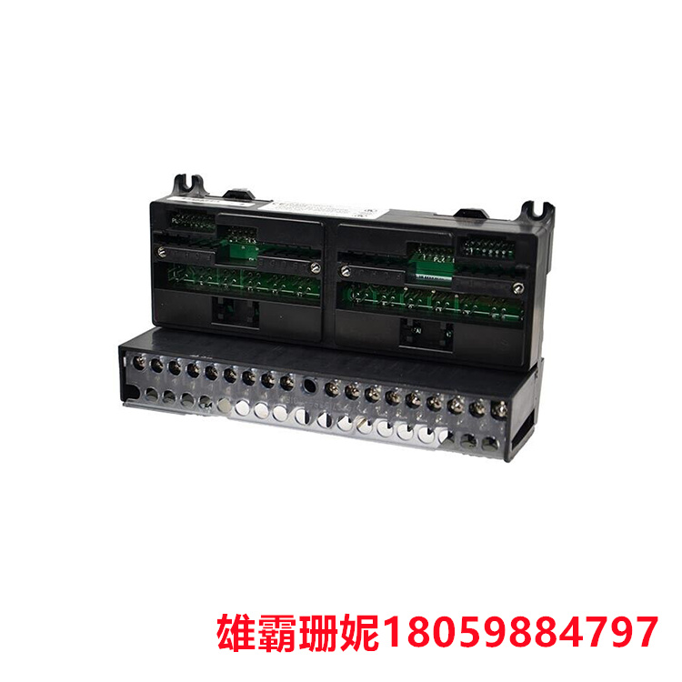 GE   IC670CHS001E  接线端子模块   它提供模块化连接