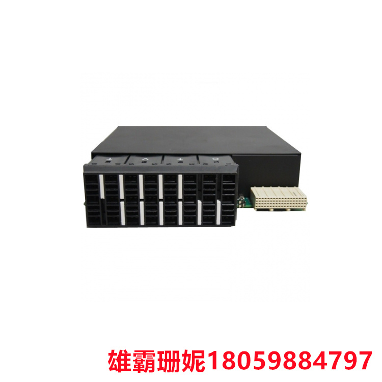 GE  URRHH  电源模块   该模块可在两个电压范围内订购