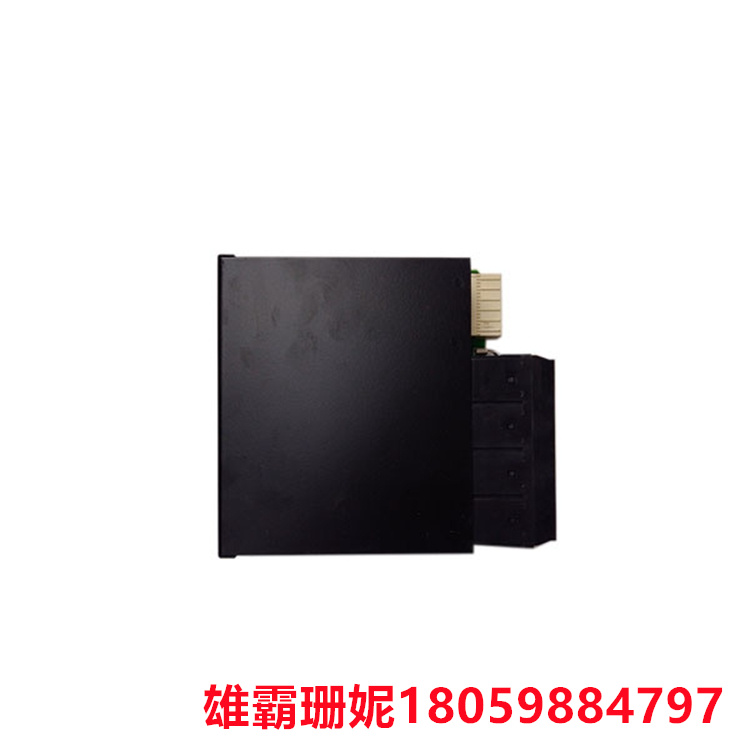 GE   UR6DH   数字 I/O 模块    用于指定模块特征的顺序选项