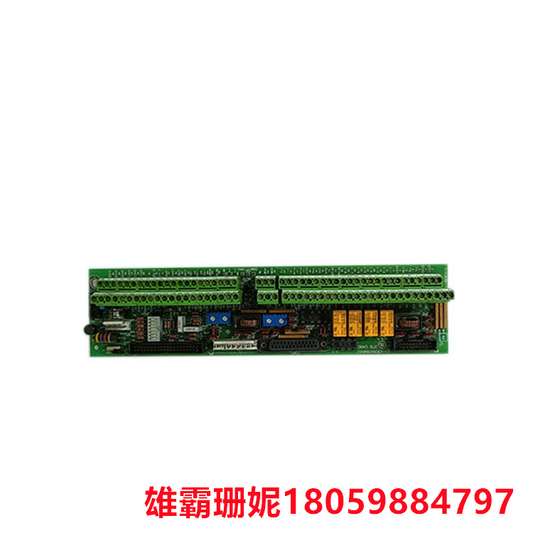 GE    531X305NTBANG1  端子板    该板提供了许多接口系统功能
