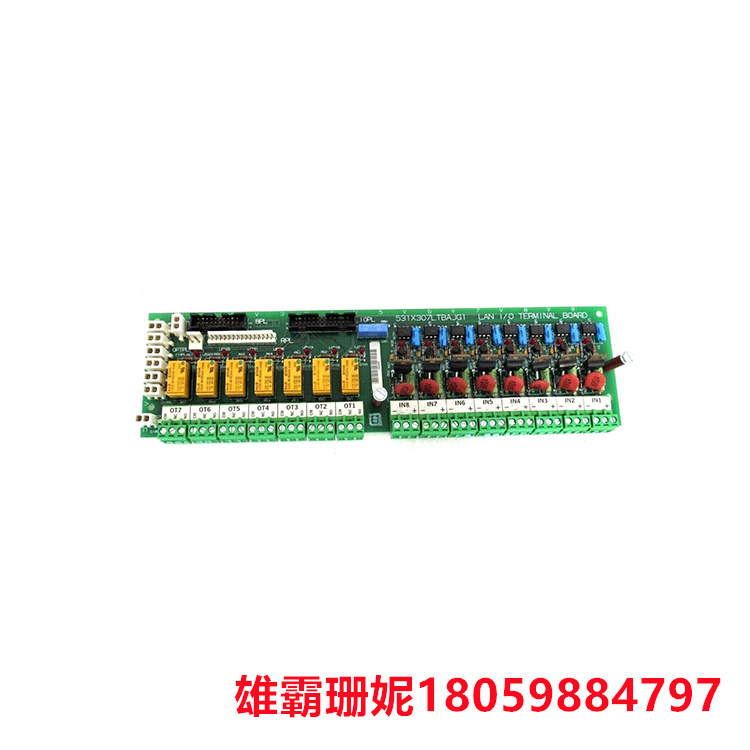 GE   531X307LTBAJG1  局域网终端板   它位于 531X 系列替换板下