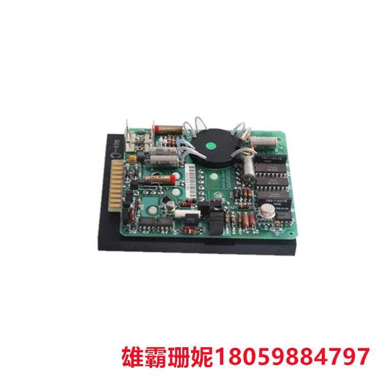 GE  IC698PSA100   电源模块   它配有螺钉式输入端子