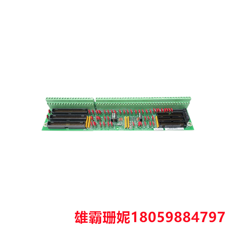 GE    DS200TBQDG1AFF  扩展模拟终端板   每个模块包含 107 个信号线端子