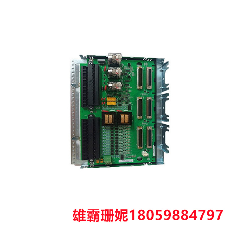 GE   IS200TTURH1CFD  控制终端板   基本上是矩形的