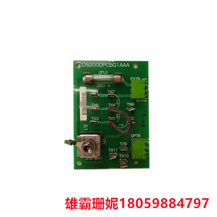 GE    DS200DPCBG1AAA   IOS+ 电源连接卡   具有两个接线端子