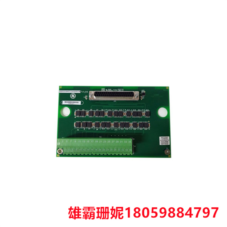 GE  IS200SRTDH2A  单工终端继电器板   有两个巨大的接线端子