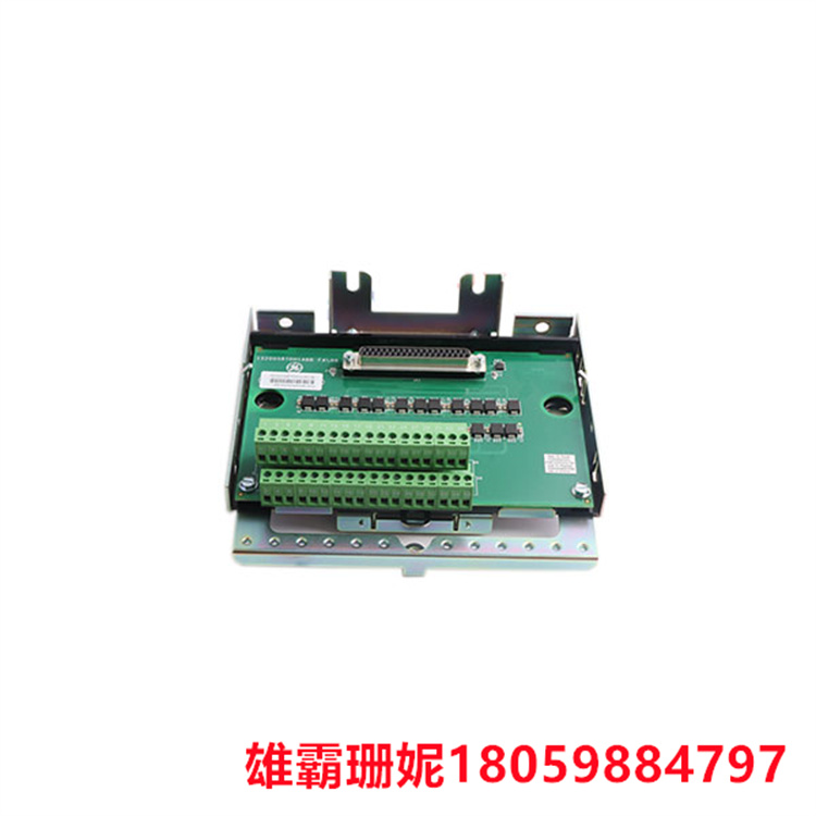 GE  IS230SNRTH2A  电阻温度探测器    RTD元件可以是一根导线