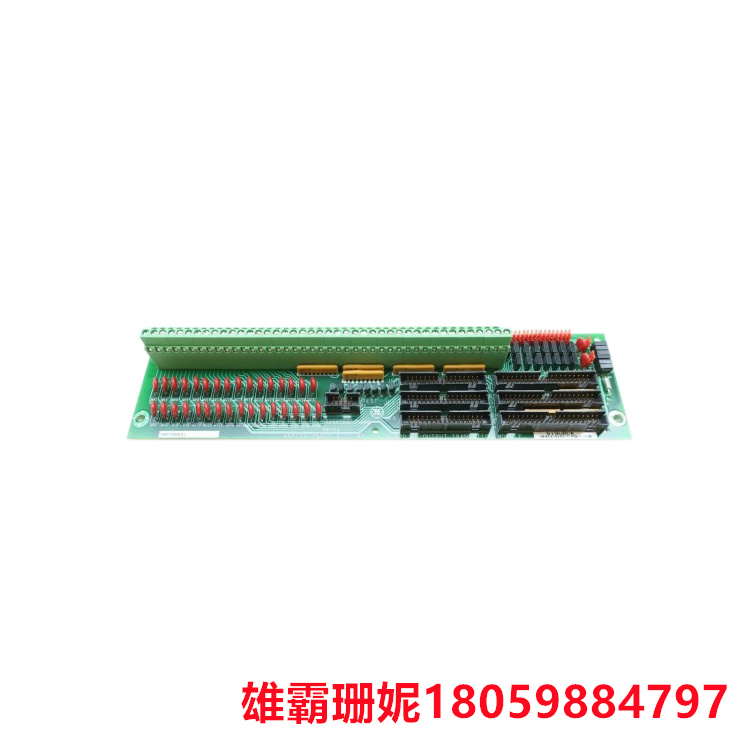 GE   DS200CTBAG1A  模拟终端模块   R5内核包含模拟终端模块