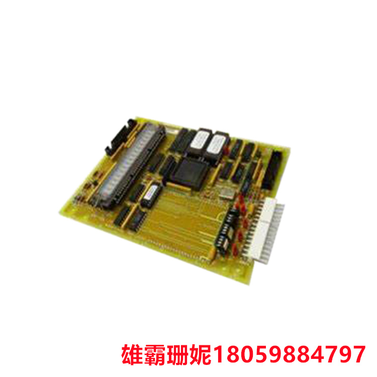 GE  DS200SLCCG2A  局域网（LAN）通信板    主机可以使用所需的 LAN 接口处理空间