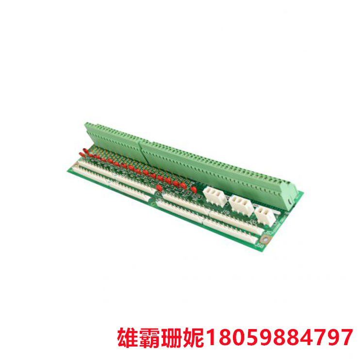 GE   DS200DTBDG1ABB  端子板    每个模块包含 107 个信号线端子