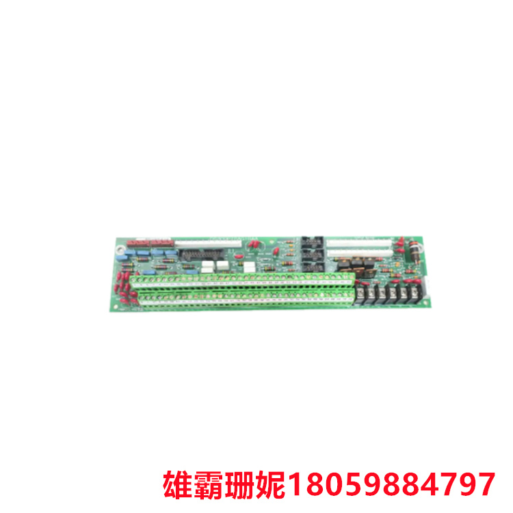 GE   DS200PTBAG1BBA  终端板   其中两个孔用导电材料环绕