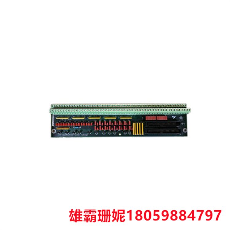 DS200TBCBG1AAA  触点输出端接模块   每个接线端子中都有 110 根信号线的端子