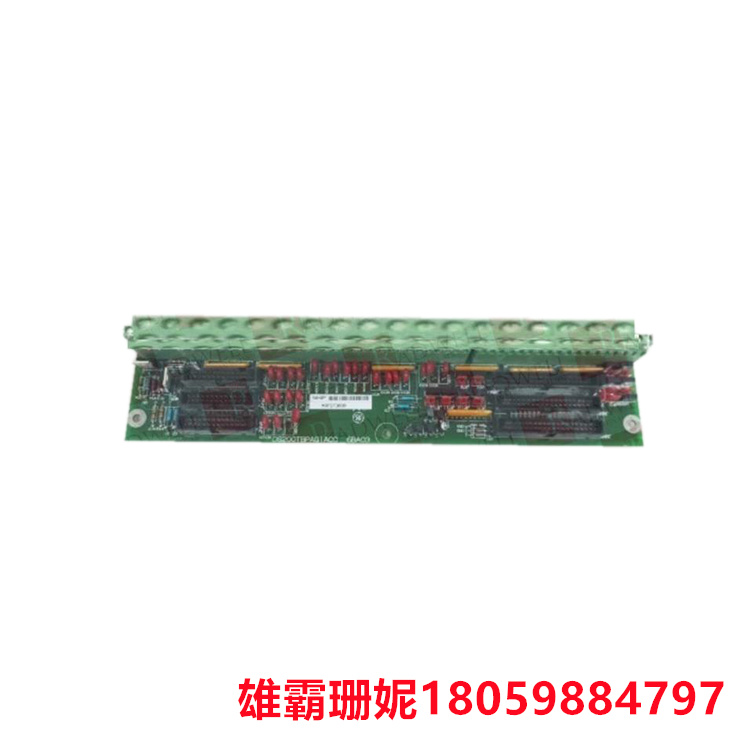 DS200TBPAG1A  PLU 端接板   该系统旨在管理燃气轮机和蒸汽轮机