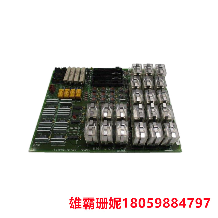 GE    DS200TCTSG1AFE   单工跳闸板    配有 12 个插入式继电器
