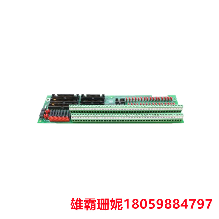 GE    DS200TBQCG1ABB   模拟端接板    每个模块包含 83 个信号线端子