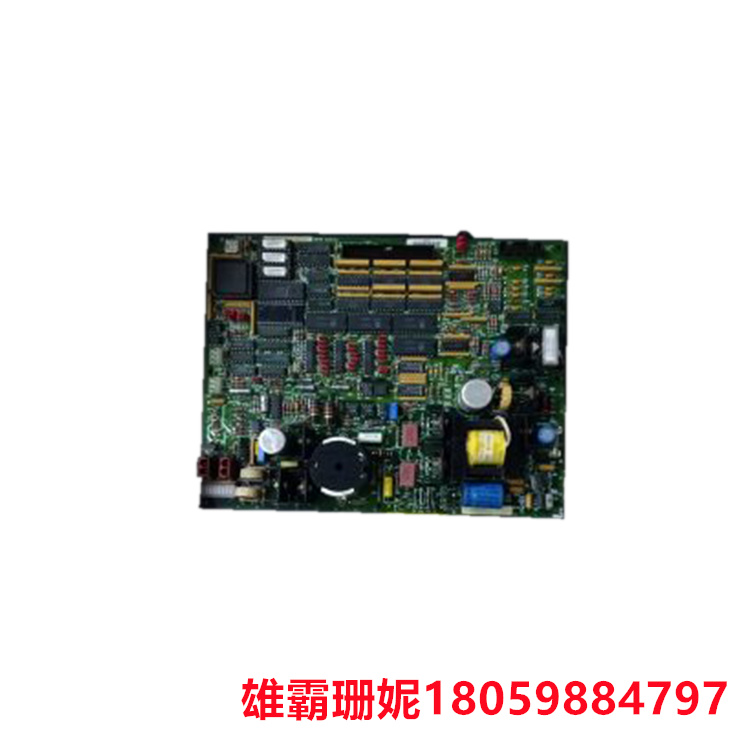 GE  DS200TCEAG2BKE  紧急超速卡     还包括三个保险丝