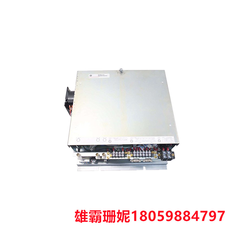 GE   IS2020ISUCG1A   控制模块    采用终端板和 I/O 卡构建