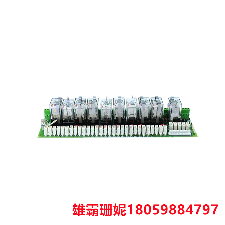 GE   DS200RTBAG3AEB  功率励磁板     具有十个继电器