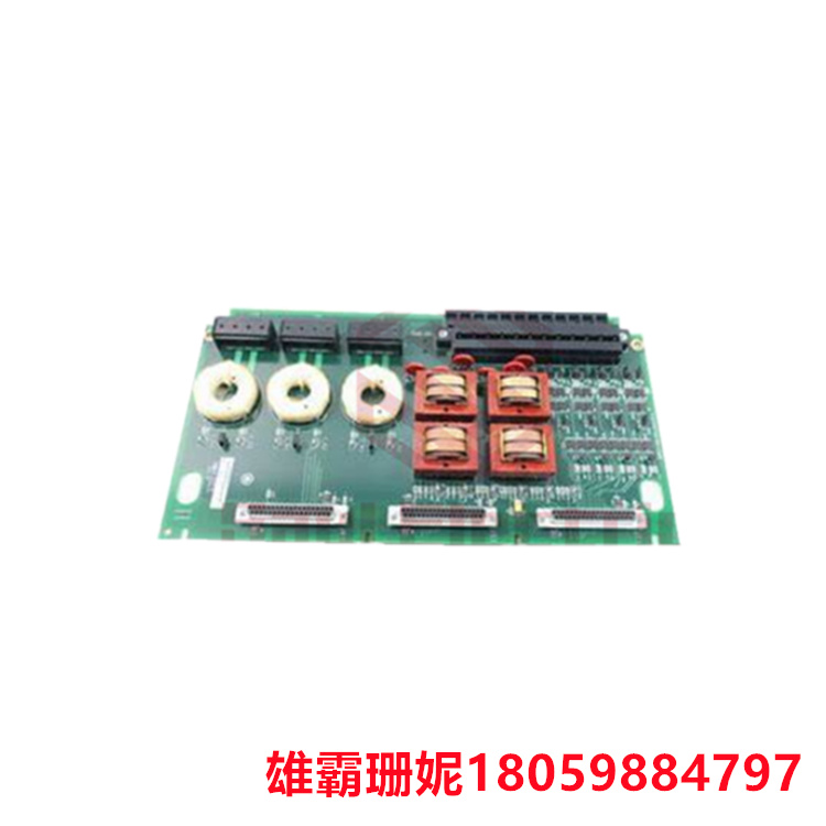 GE   IS200TGENH1A   端接板    位于 PCB 的左上角