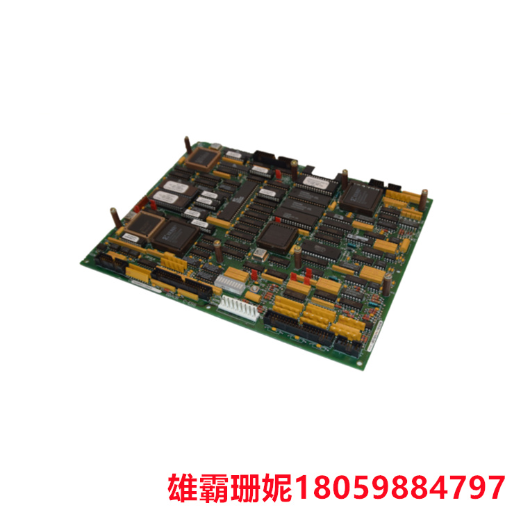 GE   DS215TCQAG1BZZ01A   	驱动控制卡   系统软件和主控制电路位于此卡上