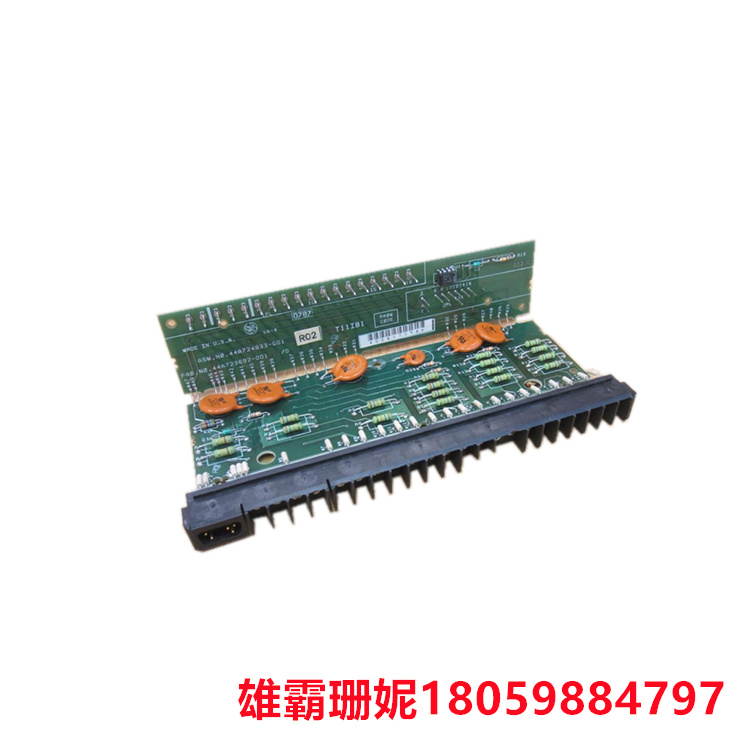 GE  44A751101-G01  背板中断器